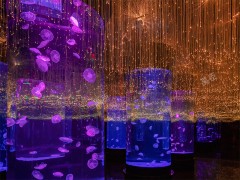 星空吊燈YC-XKDD01